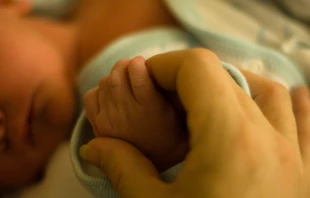 Imagen referencial / Flickr Bridget Coila (CCBY-SA2.0) 