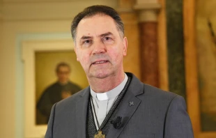 P. u00c1ngel Fernu00e1ndez Artime, Rector Mayor de los Salesianos. Cru00e9dito: ANS 