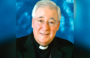 Mons. Juan Antonio Reig Plà. Foto: Conferencia Episcopal Española null