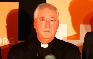 Mons. Juan Antonio Reig Plu00e1. Foto: Flickr HazteOu00edr (CC BY-SA 2.0) 