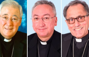 Mons. Juan Antonio Reig Pla, Mons. Josu00e9 Rico Pavu00e9s y Mons. Joaquu00edn Maru00eda Lu00f3pez de Andu00fajar / Cru00e9dito: Conferencia Episcopal Espau00f1ola 