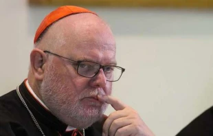 Cardenal Reinhard Marx. Foto: Bohumil Petrik / ACI Prensa. 