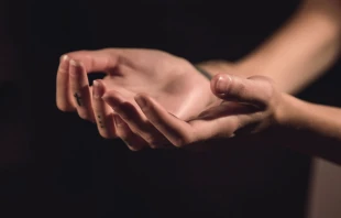 Imagen referencial / Cru00e9dito: Unsplash  