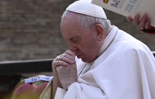 Papu00e1 Francisco (2022). Cru00e9dito: Vatican Media 