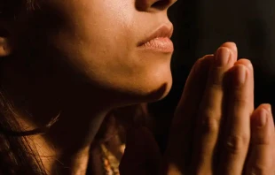 Imagen referencial. Cru00e9dito: Pexels 