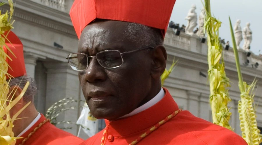 Cardenal Robert Sarah (Foto: Sabrina Fusco / ACIPrensa)?w=200&h=150