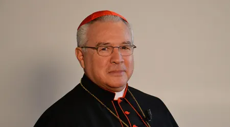 México: Arzobispo anuncia ordenación récord de 48 sacerdotes solo en Guadalajara