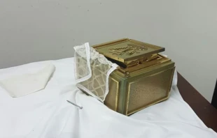 Profanaciu00f3n en Argentina / Diu00f3cesis de Mar de Plata en Argentina  