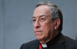 Cardenal u00d3scar Andru00e9s Rodru00edguez Maradiaga. Foto: Daniel Ibu00e1u00f1ez / ACI Prensa. 