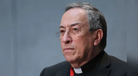 Cardenal Rodríguez Maradiaga: Sí existe un lobby gay