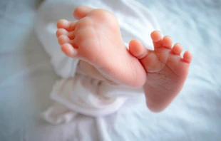 Imagen referencial | Cru00e9dito: Pixabay 