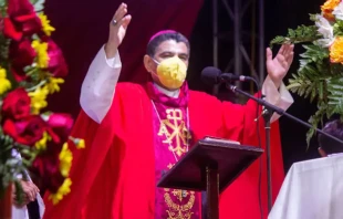 Mons. Rolando u00c1lvarez. Cru00e9dito: Diu00f3cesis de Matagalpa 