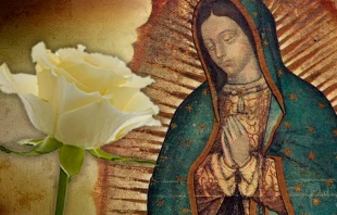 Rosa Guadalupe / ACI Prensa 