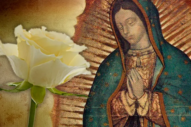 Esta es la verdadera historia de la Rosa de Guadalupe