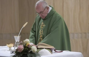 El Papa en la Misa. Foto: L'Osservatore Romano 