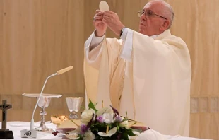 El Papa en la Misa. Foto: L'Osservatore Romano 