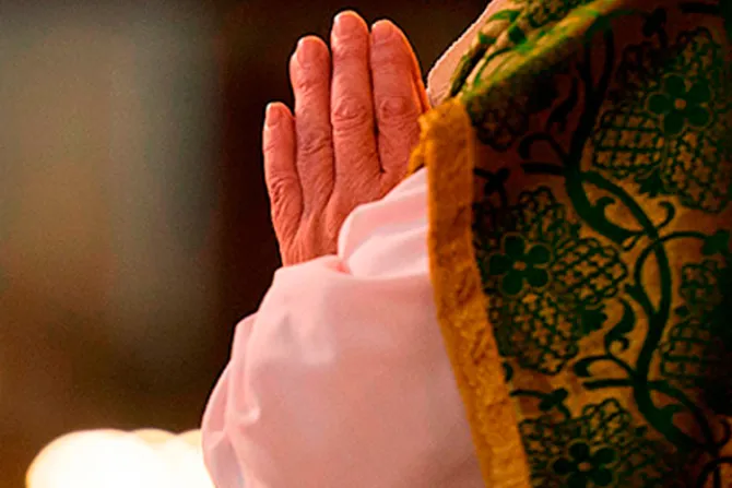 La fe de Holanda y Bélgica necesita más sacerdotes, expresa el Papa Francisco