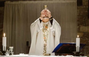 Imagen referencial. Cru00e9dito: Josh Applegate / Unsplash. 