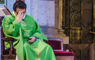 Foto referencial. Cru00e9dito: Nazim Coskun / Pixabay 