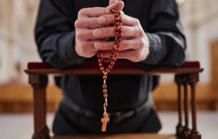 Imagen referencial. Cru00e9dito: Shutterstock. 