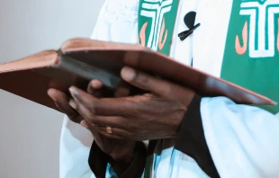 Imagen referencial. Cru00e9dito: Gift Habeshaw en Unsplash 