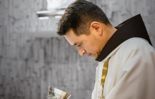 Un sacerdote celebrando la Misa. Cru00e9dito: Gabriel Manjarres / Cathopic 