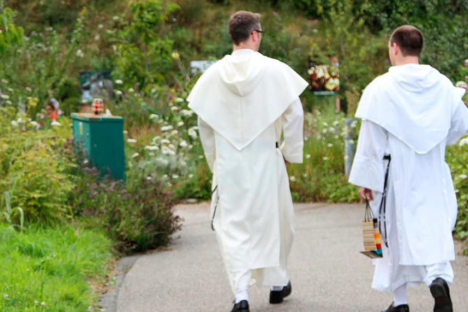 Se busca: “Misioneros de la misericordia”