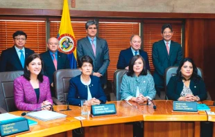 Sala Plena de la Corte Constitucional de Colombia | Cru00e9dito: Corte Constitucional  