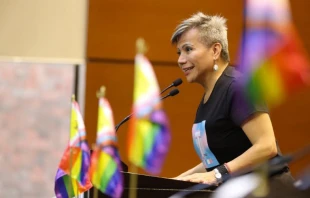 Congresista Salma Luu00e9vano. Cru00e9dito: Cu00e1mara de Diputados del Congreso de la Uniu00f3n. 