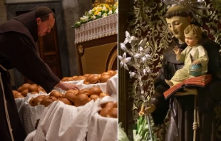 Fiesta de San Antonio de Padua en Tierra Santa. Cru00e9dito: Custodia de Tierra Santa 