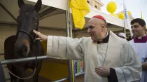El Cardenal Comastri bendice los animales. Foto: Marina Testino / ACI Prensa