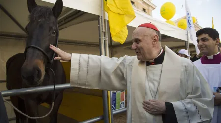 Vaticano instala una granja temporal para celebrar a San Antonio Abad