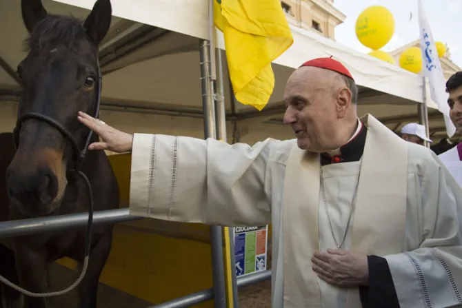 Vaticano instala una granja temporal para celebrar a San Antonio Abad