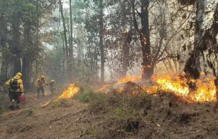 El incendio afectó 5.000 hectáreas. Crédito: Página de Facebook Municipalidad de Santa Juana 