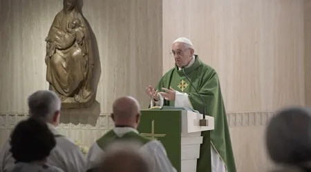 Una persona que ha olvidado sus propias raíces está enferma, dice el Papa