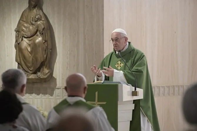 Una persona que ha olvidado sus propias raíces está enferma, dice el Papa