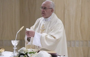 El Papa en la Misa. Foto: L'Osservatore Romano 