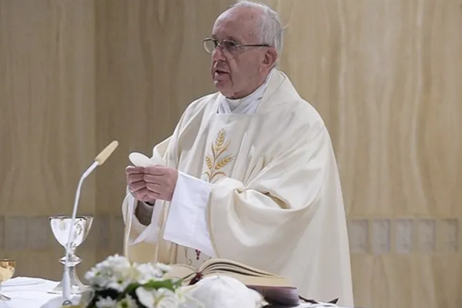 Papa Francisco: ¿Tu fe es efímera o da frutos y crece en ti la esperanza en Dios?