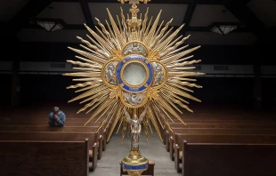 Imagen referencial. Cru00e9dito: Unsplash. 