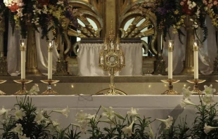 Santu00edsimo expuesto / Foto: Flickr  Lawrence OP (CC BY-NC-ND 2.0) 