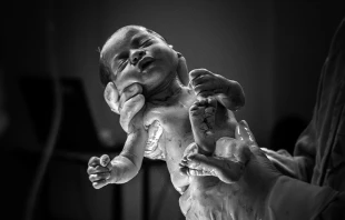 Imagen referencial / Cru00e9dito: Pexels 