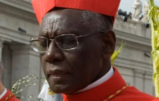 Cardenal Robert Sarah (Foto Sabrina Fusco / ACI Prensa) 