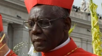 Cardenal Robert Sarah (Foto Sabrina Fusco / ACI Prensa)