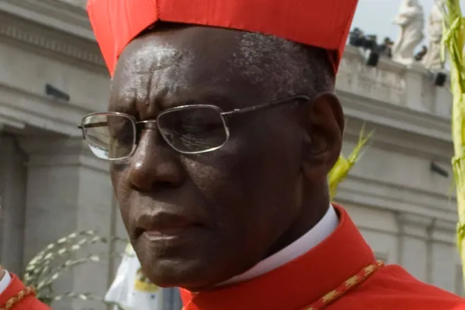 Cardenal africano: Grupos de presión buscan cambiar enseñanza de la Iglesia sobre la homosexualidad