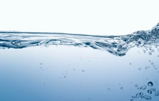 Imagen referencial. Cru00e9dito: Freepik/Rawpixel 