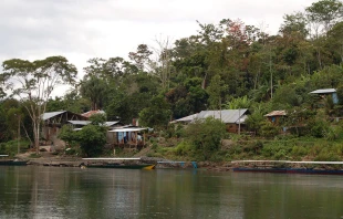 Selva del Peru00fa. Cru00e9ditos: Jeru00f3nimo Pu00e9rez (CC BY-NC-ND 2.0) 