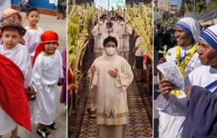 Niu00f1os en procesiu00f3n. Cru00e9dito: Diu00f3cesis de Cu00facuta / Acu00f3litos. Cru00e9dito: Santuario Nacional de Nuestra Seu00f1ora de los Desamparados, Manila / Religiosas. Cru00e9dito: PGPO Custodia de Tierra Santa 