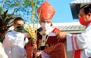 Bendiciu00f3n de Domingo de Ramos 2021 del Arzobispo de Panamu00e1, Mons. Josu00e9 Domingo Ulloa | Cru00e9dito: Arquidiu00f3cesis de Panamu00e1 