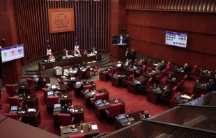 Senado de la Repu00fablica Dominicana. Cru00e9dito: Twitter del Senado de la Repu00fablica Dominicana 