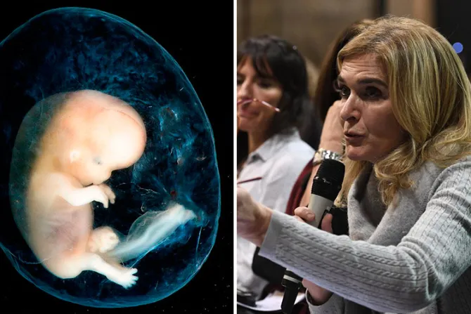 Ley del aborto en Argentina “no protege a nadie”, asegura senadora [VIDEO]